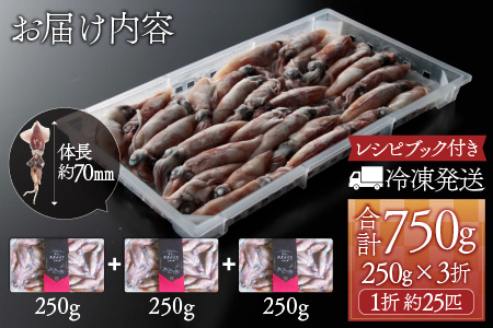 急速冷凍ホタルイカ　新鮮なホタルイカをいつでも