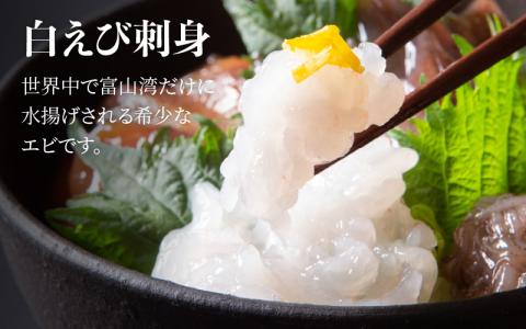 富山湾どんぶりセット 約３人前【数量限定】 カネツル砂子商店