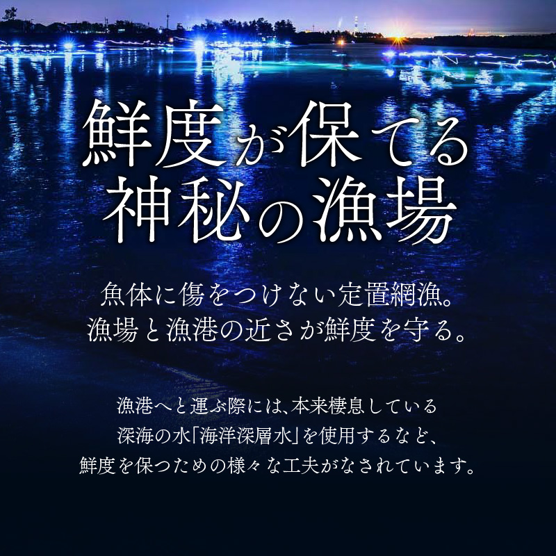 生ホタルイカ急速冷凍とオリジナル万能酢味噌付き【カネツル砂子商店】 [A-002012] 3パック 計750g + オリジナル酢味噌