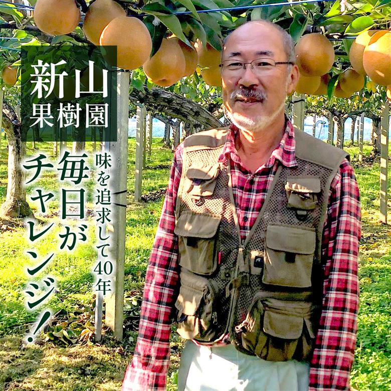 【先行予約】梨（豊水）※2025年9月上旬以降順次発送予定