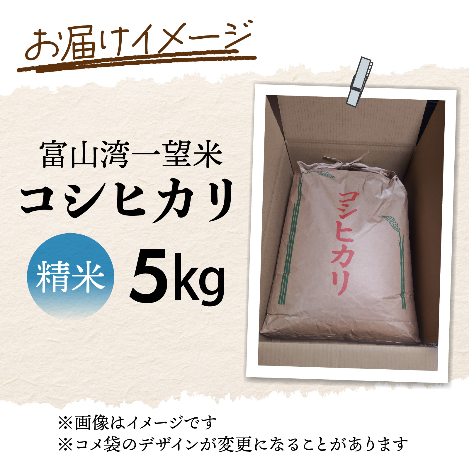 【先行予約】新米 富山湾一望米　コシヒカリ 精米 【容量5kg】【2025年10月より順次発送】