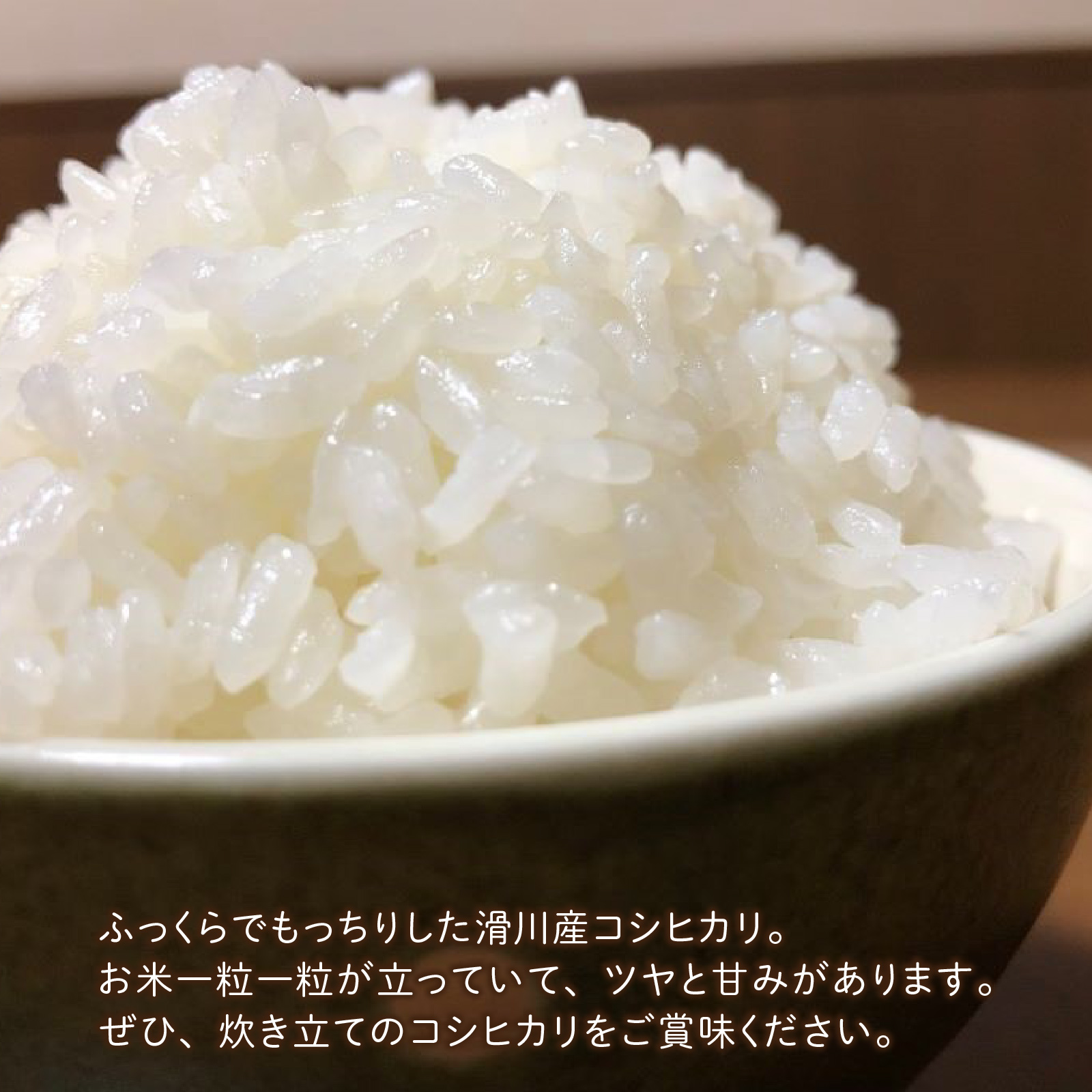 【先行予約】【新米】滑川産コシヒカリ（精米20kg）25年10月以降順次配送予定