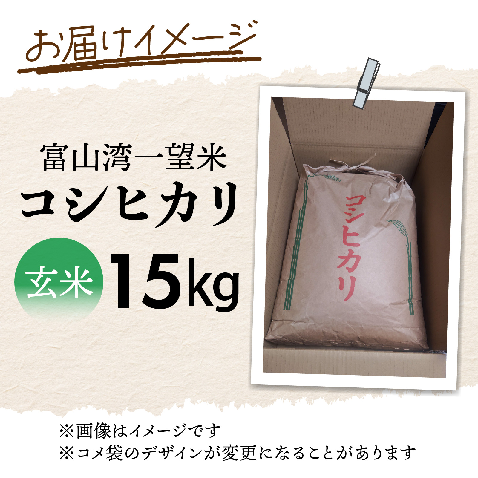 【先行予約】新米 富山湾一望米　コシヒカリ 玄米 【容量15kg】【2025年10月より順次発送】