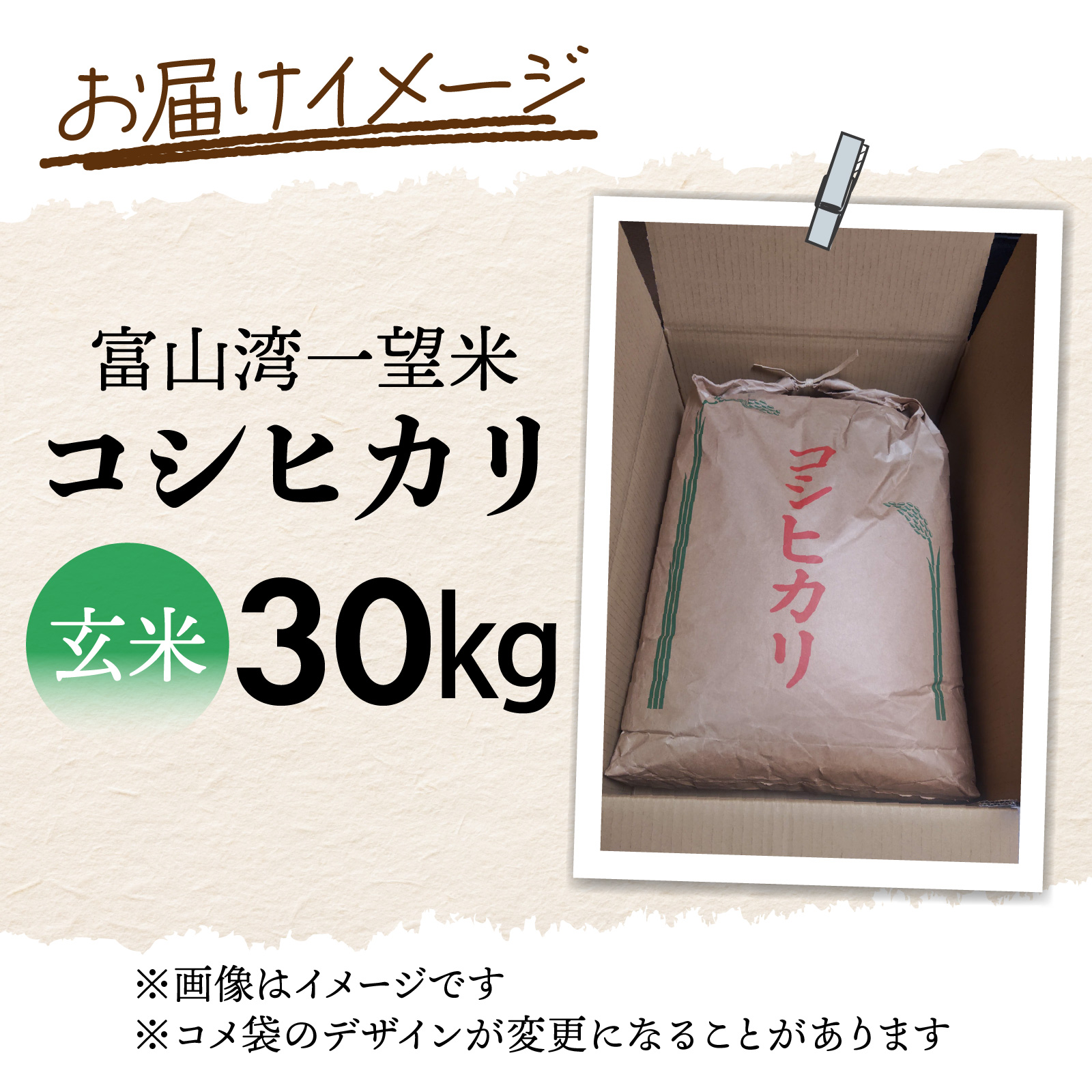 【先行予約】新米 富山湾一望米　コシヒカリ 玄米 【容量30kg】【2025年10月より順次発送】