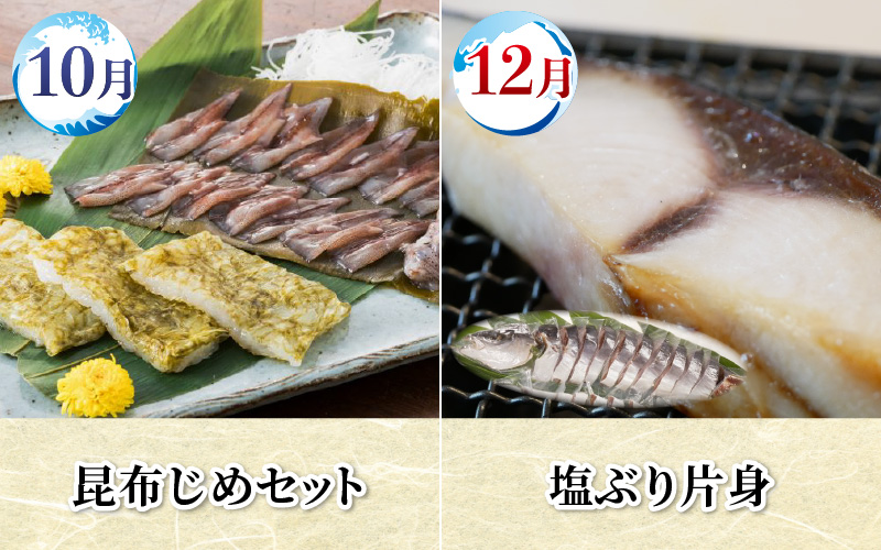 【数量限定】富山湾の恵がつまった カネツル旬の定期便（ホタルイカ、紅ズワイガニ、えび、ぶり、国産うなぎ） カネツル砂子商店