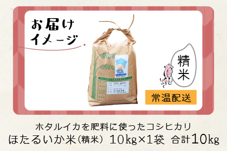 【訳あり】ほたるいか米（精米10kg）【通年発送】　ホタルイカを肥料に使ったコシヒカリ