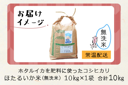 【訳あり】ほたるいか米（無洗米10kg）【通年発送】　ホタルイカを肥料に使ったコシヒカリ