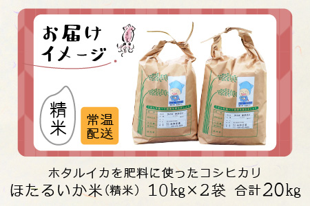 【訳あり】ほたるいか米（精米20kg）【通年発送】　ホタルイカを肥料に使ったコシヒカリ