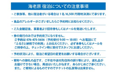 2024年10月13日（日）ほたるいかマラソン（ ハーフマラソンの部）出走権＋海老源1名　1泊2食　夕朝食事付