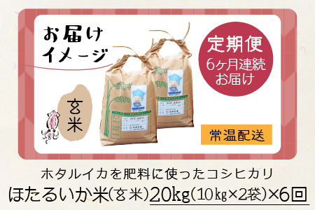 【新米】ほたるいか米（玄米20kg）×6回 計120kg【6ヶ月定期便】