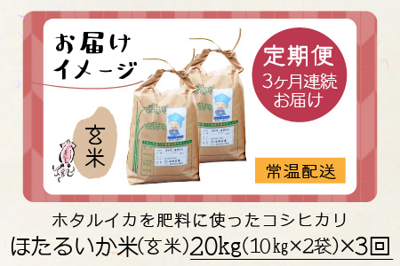 【新米】ほたるいか米（玄米20kg）×3回 計60kg【3ヶ月定期便】