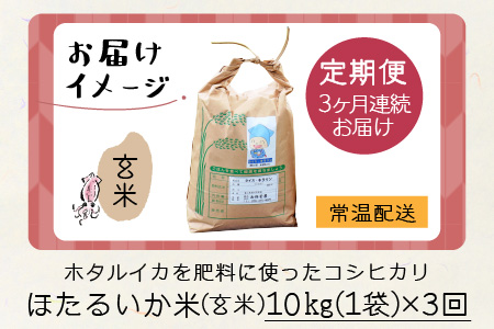 【新米】ほたるいか米（玄米10kg）×3回 計30kg【3ヶ月定期便】