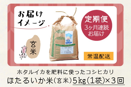 【新米】ほたるいか米（玄米５kg）×3回 計15kg【3ヶ月定期便】