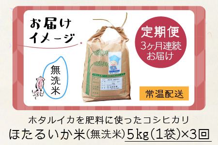 【新米】ほたるいか米（無洗米５kg）×3回 計15kg【3ヶ月定期便】