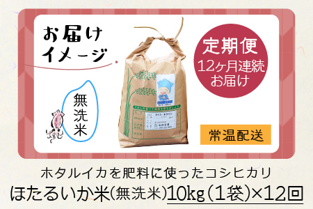 【訳あり】ほたるいか米（無洗米10kg）×12回 計120kg【12ヶ月定期便】