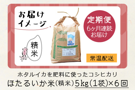 【新米】ほたるいか米（精米５kg）×6回 計30kg【6ヶ月定期便】