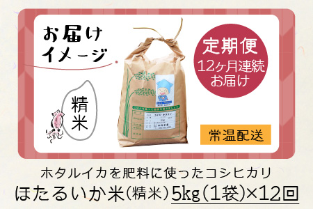 【訳あり】ほたるいか米（精米５kg）×12回 計60kg【12ヶ月定期便】