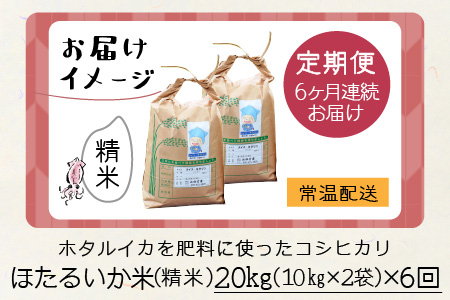 【新米】ほたるいか米（精米20kg）×6回 計120kg【6ヶ月定期便】