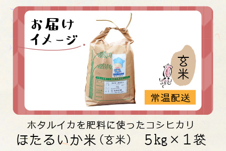 【新米】ほたるいか米（新米/玄米５kg）