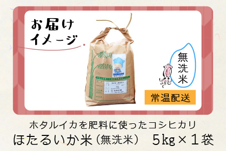【新米】ほたるいか米（新米/無洗米５kg）