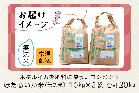 【新米】ほたるいか米（新米/無洗米２０kg）