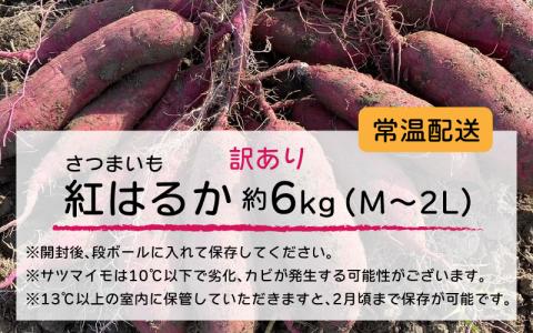 【先行】【訳あり】サツマイモ（紅はるか）サイズ不揃いの訳あり（M～2L）約6kg ※2026年1月以降順次発送予定