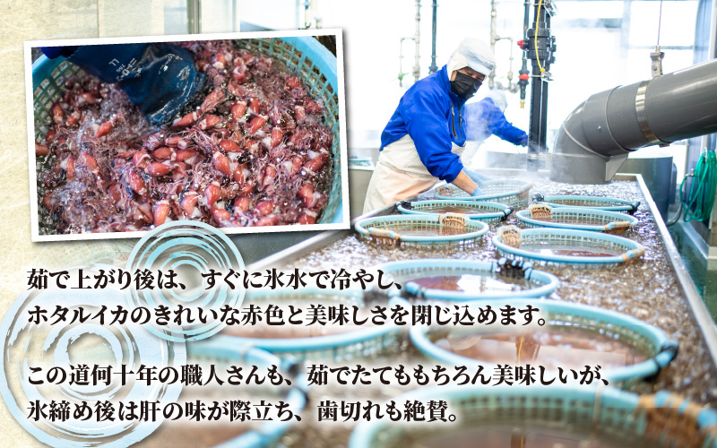 ほたるいか ボイル＆刺身セット【(有)カネツル砂子商店】※着日指定は備考欄へ　※26年3月中旬以降～ 順次発送中