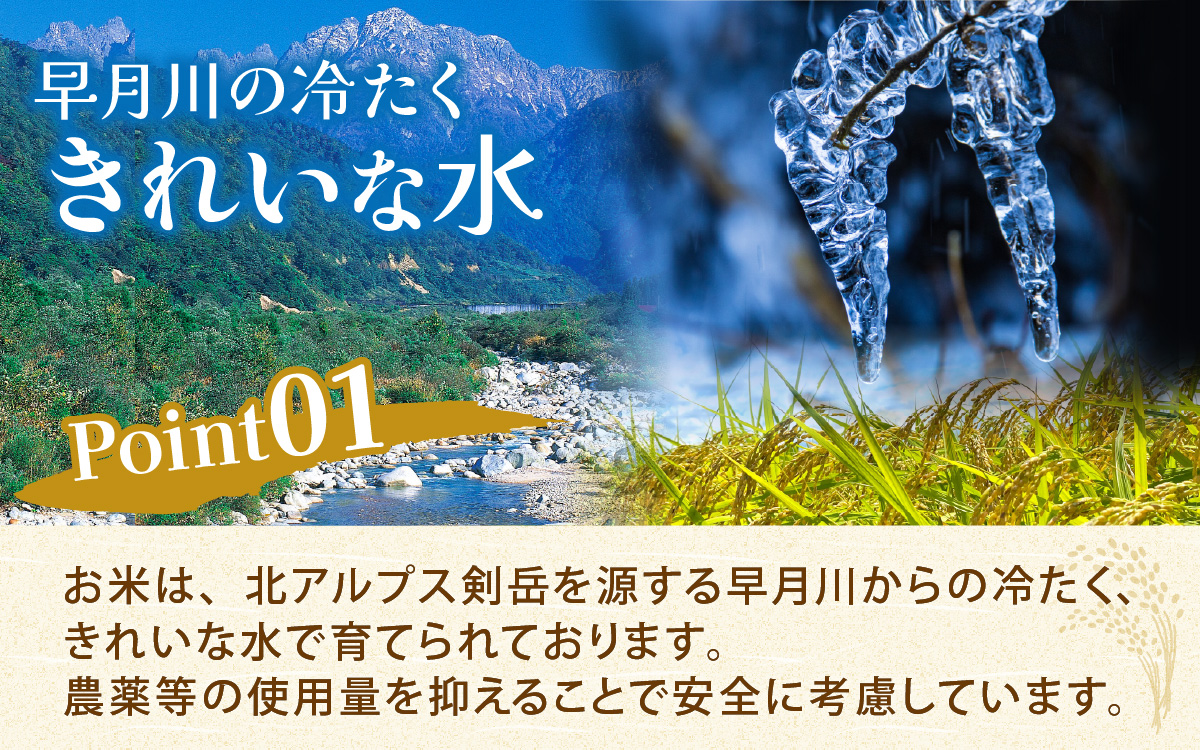 富山県滑川市産　弱アルカリ性米　「ピロール農法米　いのちの壱」精米5kg【2025年10月中旬より順次発送】 / 産地直送 袋 ブランド米 お米 米 ご飯 ごはん 富山 滑川市 アグリめぐみ 頒布会 農家直送 おこめ