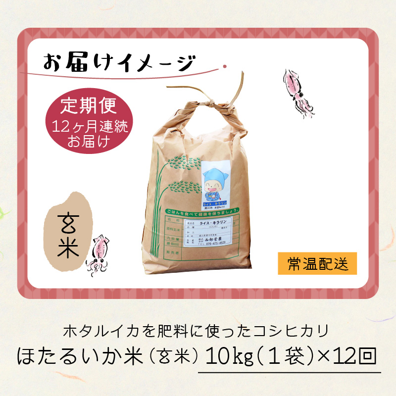 【訳あり】ほたるいか米（玄米10kg）×12回 計120kg【12ヶ月定期便】【訳あり 米 コシヒカリ こしひかり ほたるいか ホタルイカ お米 ブランド米 富山 滑川】[O-021001]