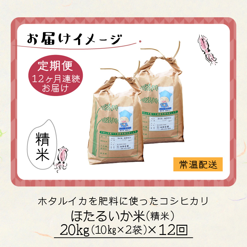 【訳あり】ほたるいか米（精米20kg）×12回 計240kg【12ヶ月定期便】【訳あり 米 コシヒカリ こしひかり ほたるいか ホタルイカ お米 ブランド米 富山 滑川】[O-021004]
