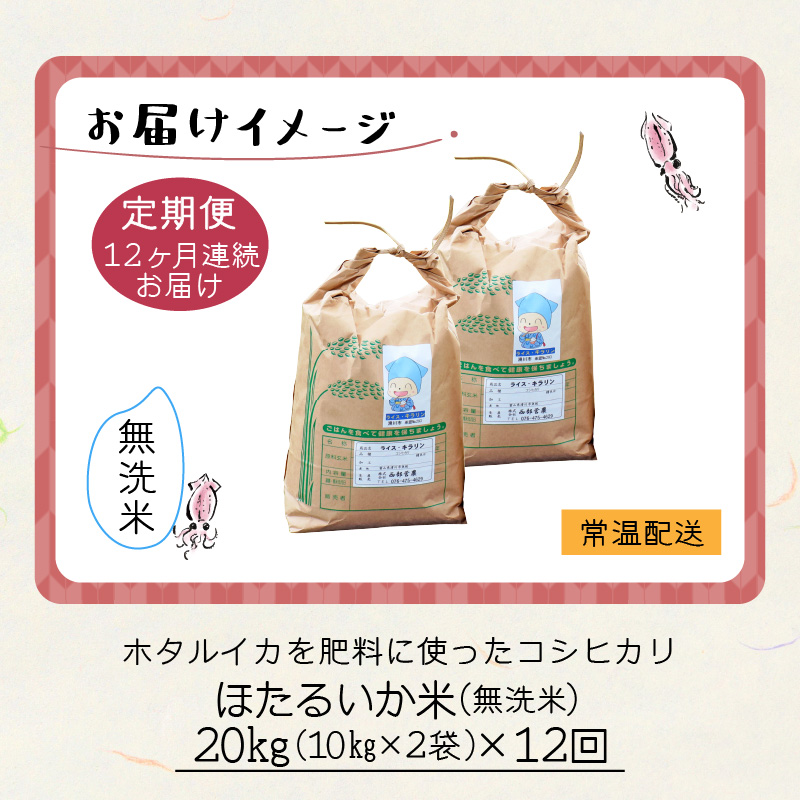 【訳あり】ほたるいか米（無洗米20kg）×12回 計240kg【12ヶ月定期便】【訳あり 米 コシヒカリ こしひかり ほたるいか ホタルイカ お米 ブランド米 富山 滑川】[O-021005]