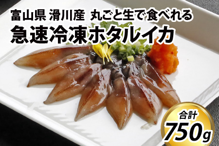 急速冷凍ホタルイカ　新鮮なホタルイカをいつでも