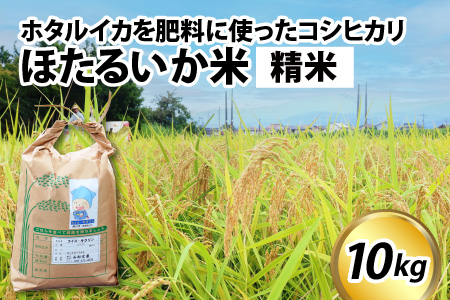 【訳あり】ほたるいか米（精米10kg）【通年発送】　ホタルイカを肥料に使ったコシヒカリ