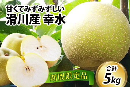 【先行予約】梨（幸水）※2025年8月下旬以降順次発送予定