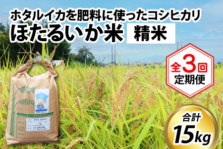 【新米】ほたるいか米（精米５kg）×3回 計15kg【3ヶ月定期便】