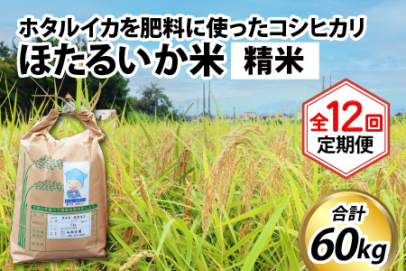 【訳あり】ほたるいか米（精米５kg）×12回 計60kg【12ヶ月定期便】