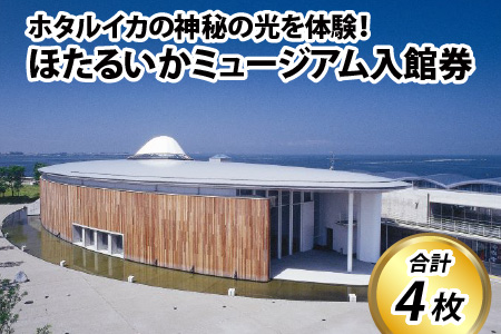 ほたるいかミュージアム入館券4枚 ホタルイカの神秘の光を体験！