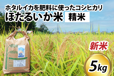 【新米】ほたるいか米（新米/精米５kg）