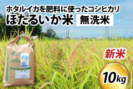 【新米】ほたるいか米（新米/無洗米１０kg）