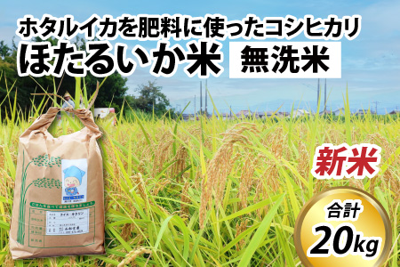 【新米】ほたるいか米（新米/無洗米２０kg）