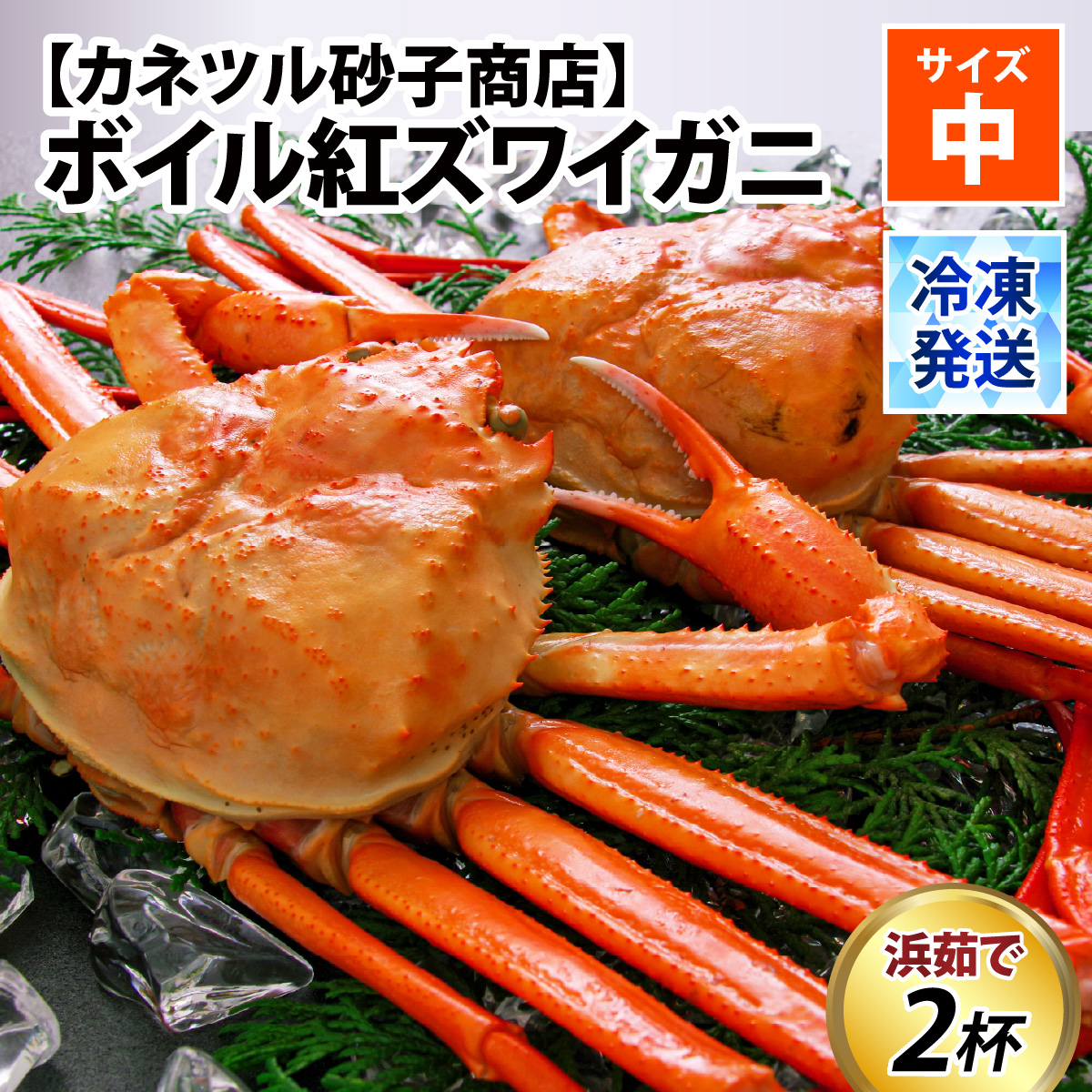 【冷凍】ボイル紅ズワイガニ 2杯　計1ｋｇ以上 発送時期が選べる【(有)カネツル砂子商店】 [A-002014]