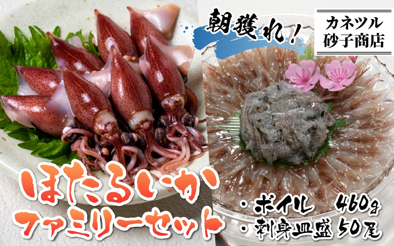 ほたるいか　ボイル＆刺身皿盛りファミリーセット※着日指定は備考欄へ　※26年3月中旬以降～ 順次発送中【(有)カネツル砂子商店】