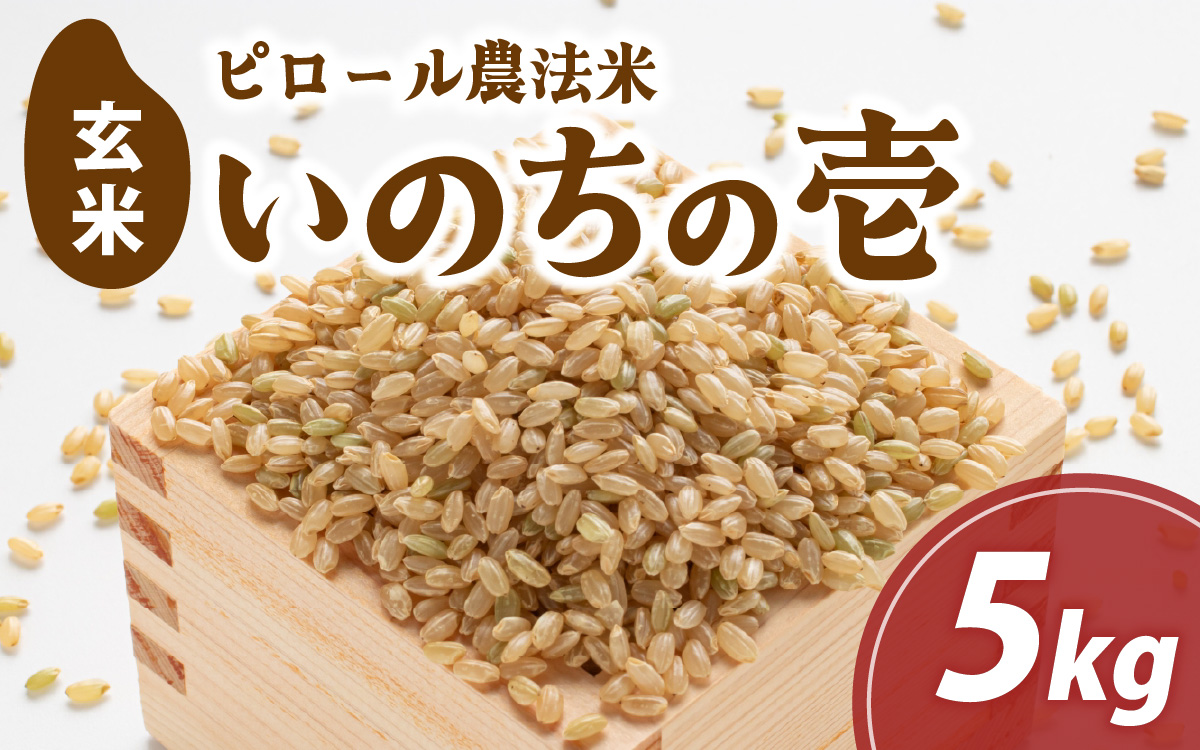 富山県滑川市産　弱アルカリ性米　「ピロール農法米　いのちの壱」玄米5kg【2025年10月中旬より順次発送】 / 産地直送 袋 ブランド米 お米 米 ご飯 ごはん 富山 滑川市 アグリめぐみ 頒布会 農家直送 おこめ