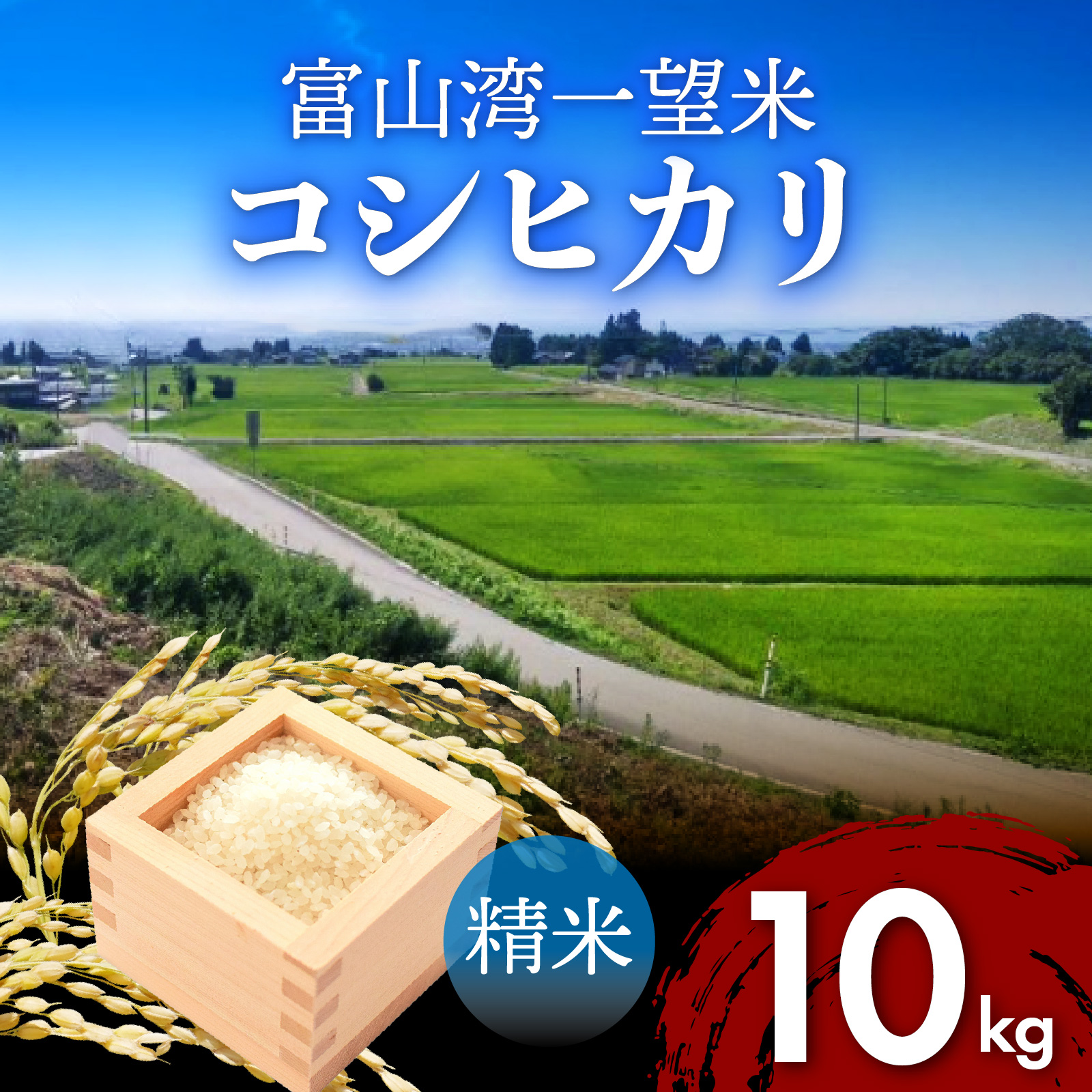 【先行予約】新米 富山湾一望米　コシヒカリ 精米 【容量10kg】【2025年10月より順次発送】