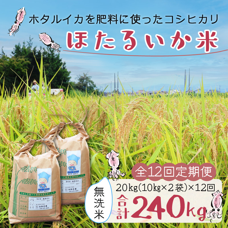 【訳あり】ほたるいか米（無洗米20kg）×12回 計240kg【12ヶ月定期便】【訳あり 米 コシヒカリ こしひかり ほたるいか ホタルイカ お米 ブランド米 富山 滑川】[O-021005]
