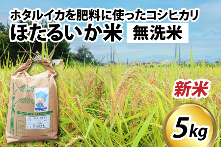 【先行予約】【新米】ほたるいか米（新米/無洗米５kg）25年10月以降順次配送予定