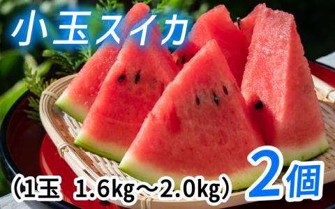 【先行予約】】種まで食べられるスイカ　小玉スイカ（ピノガール）【2026年7月上旬以降順次発送】