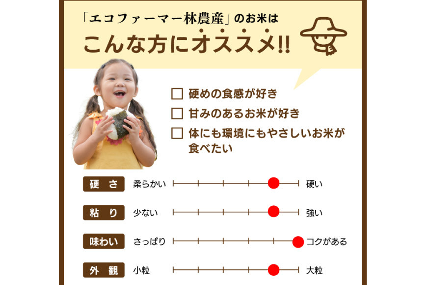 米 無洗米 コシヒカリ 5kg ご飯 ごはん 白米 精米/林農産/富山県 黒部市