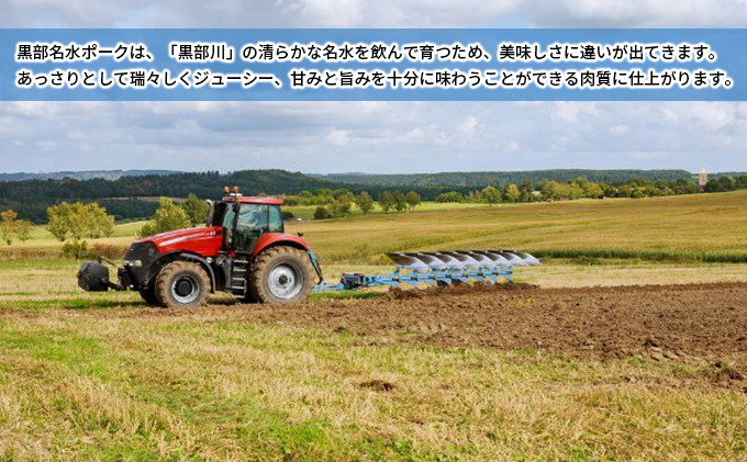 黒部名水ポーク ロース切身10枚入り（約150g×10枚）/ふるさと納税/富山県黒部市