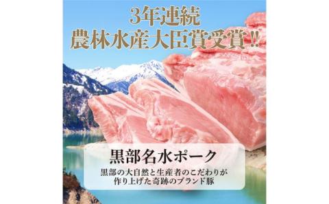 黒部名水ポーク入り水餃子 10個×10袋 冷凍 餃子 ぎょうざ/黒部まちづくり協議会（スターゲイト新川）/富山県 黒部市